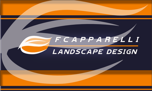 F CAPPARELLI - FLAG 2