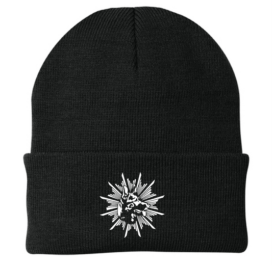 VON WOLFENFELS / CP90 / EMBROIDERY / Port Authority® Knit Cap